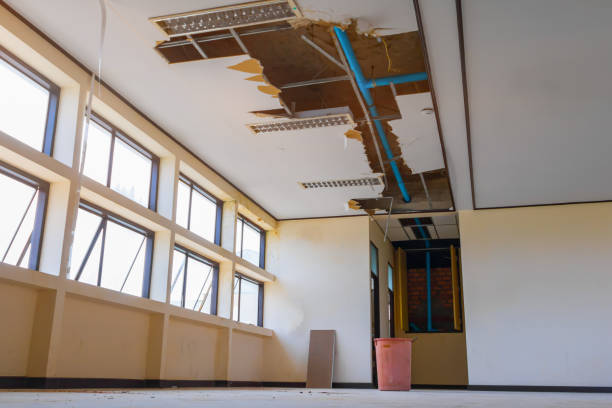 Best Water damage cleanup near me  in Wellton, AZ