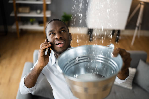 Best Emergency water damage restoration  in Wellton, AZ