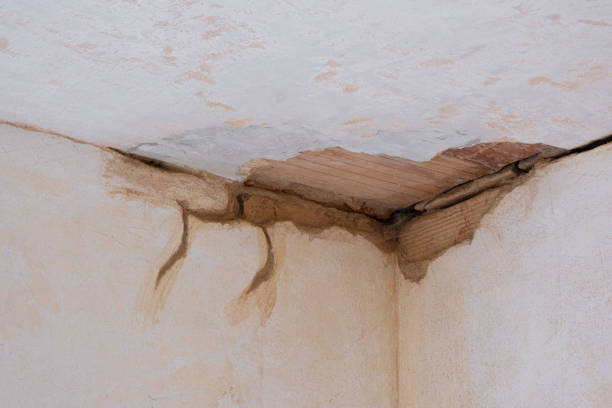 Best Flood damage cleanup  in Wellton, AZ