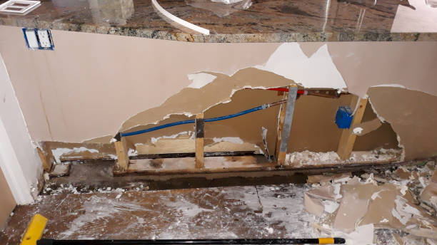 Best Sewage cleanup and water damage restoration  in Wellton, AZ