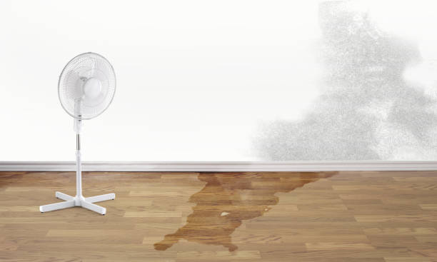 Water damage restoration insurance claims in AZ