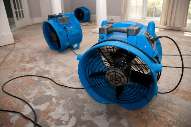 Best Residential water damage restoration  in Wellton, AZ