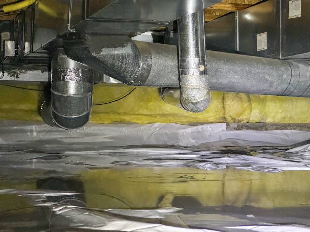 Best Ceiling water damage repair  in Wellton, AZ